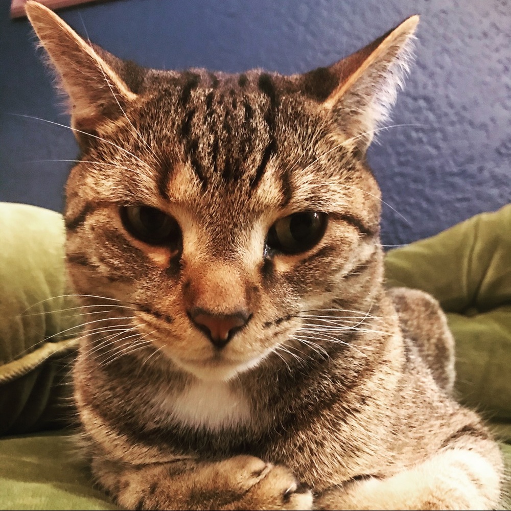 Meet your Posher, Claire